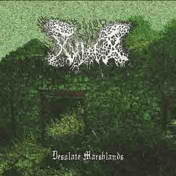 Hizha : Desolate Marshlands